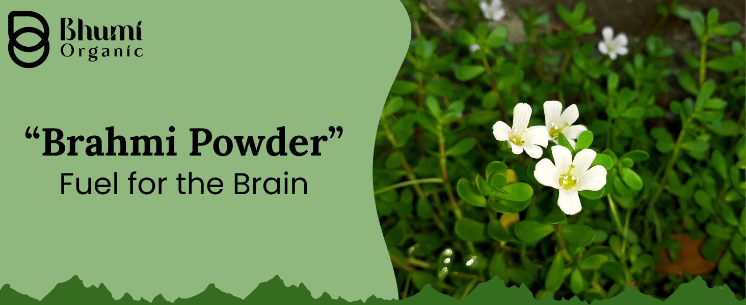 Brahmi Leaf Powder 300g