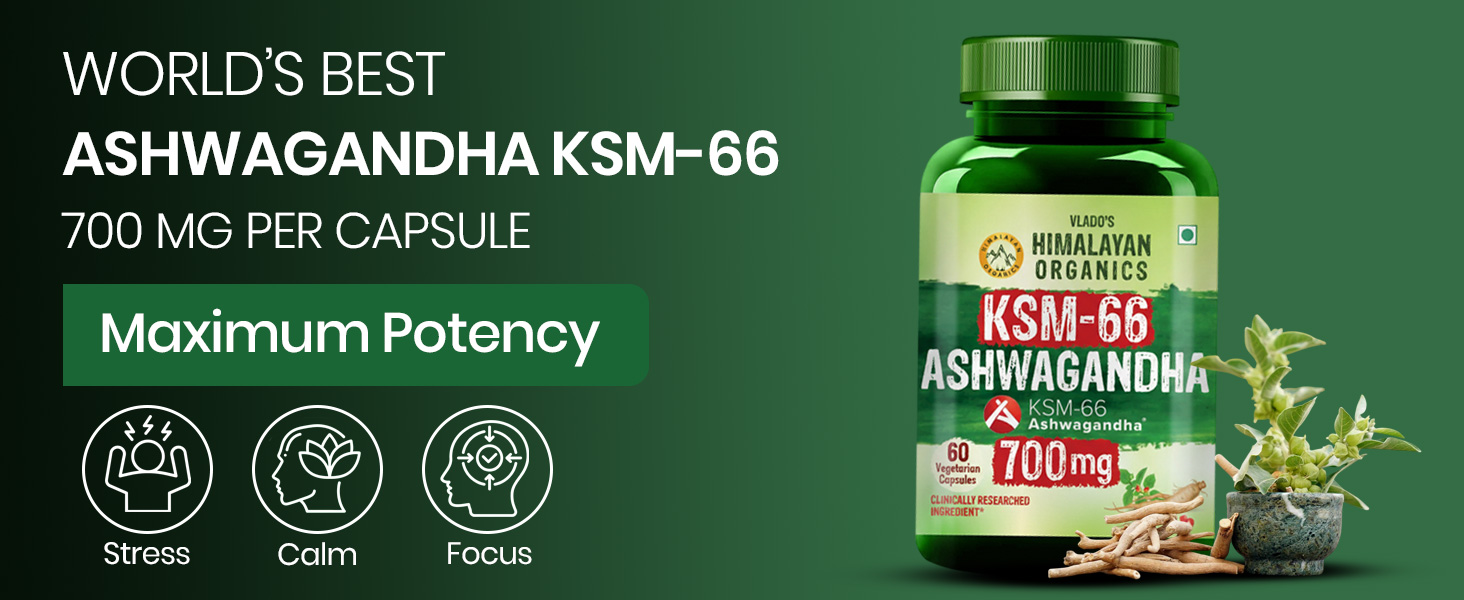 Vlado's Himalayan Organics Ashwagandha KSM66 500mg - 10 Tablet I Ashwagandha KSM66 Capsules for Men & Women | Clinically Proven I 5% Withanolides for Max Results - 100% Pure Root Extract | Stress Relief, Energy & Recovery Support