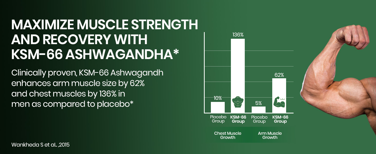 Vlado's Himalayan Organics Ashwagandha KSM66 500mg - 10 Tablet I Ashwagandha KSM66 Capsules for Men & Women | Clinically Proven I 5% Withanolides for Max Results - 100% Pure Root Extract | Stress Relief, Energy & Recovery Support