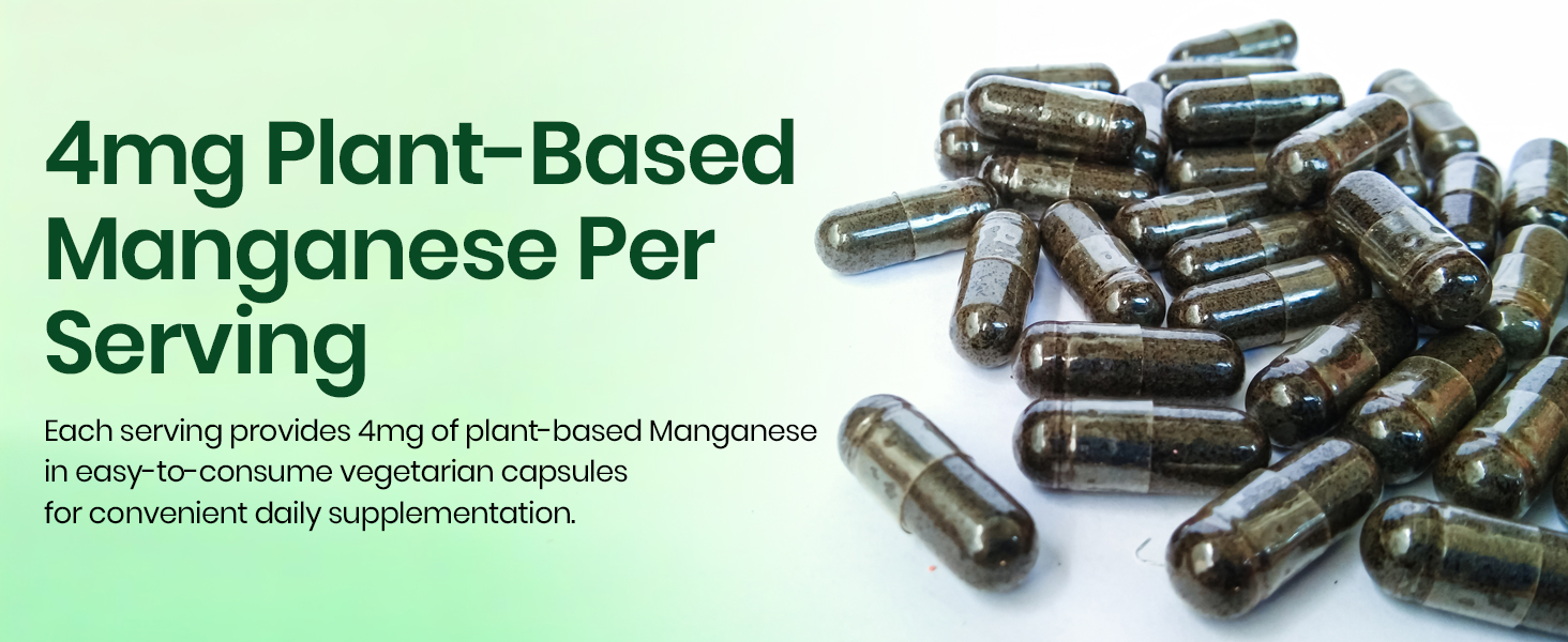 Vlado’s Himalayan Organics Plant Based Manganese 4mg Hypoallergenic Trace Mineral Supplement for Connective Tissue and Bones | Skeetal Health Support | Good For Men and Women - 120 Veg Capsules