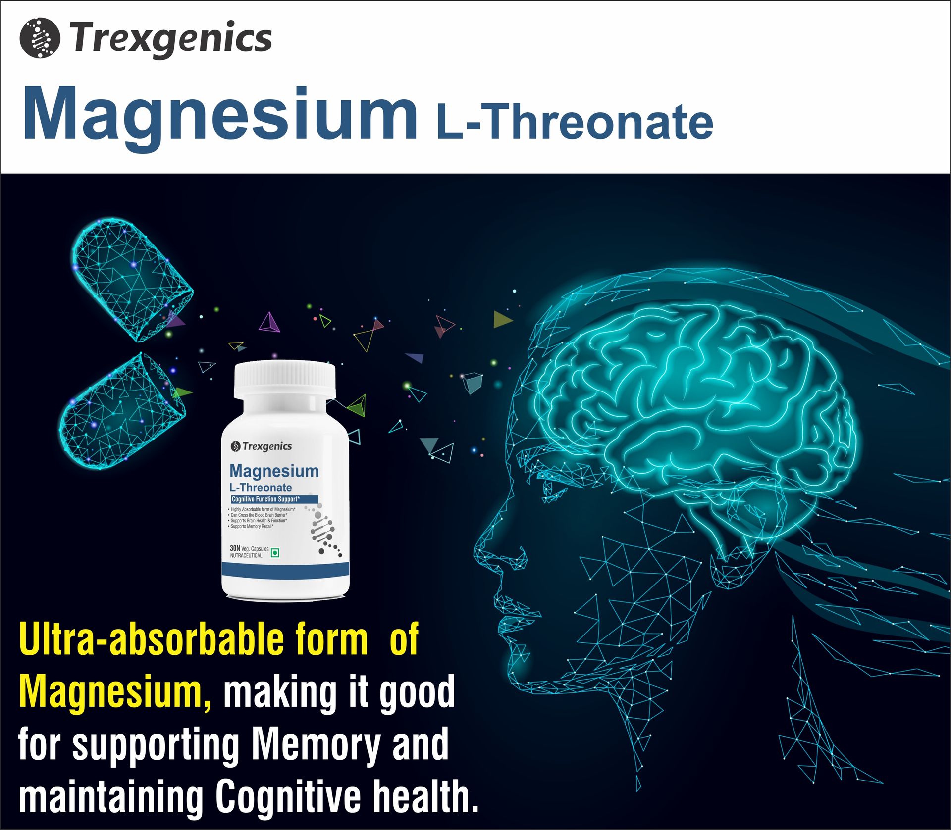 Trexgenics Magnesium L Threonate Cognitive Function & Brain Health Support (90 Veg. Capsules)