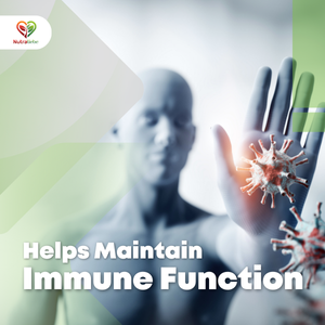 Zinc Bisglycinate – High Absorption Zinc for Immune Support, Skin Health, and Cellular Function – 90 Capsules