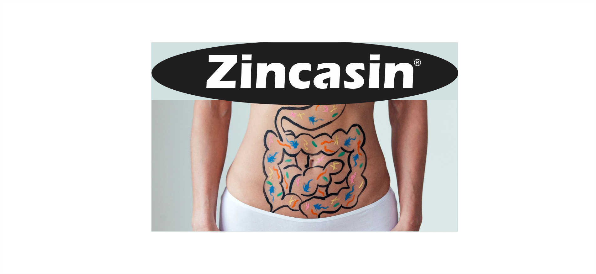 Zincasin (LeeWell) Zinc Carnosine Tablets, 90 Tablets