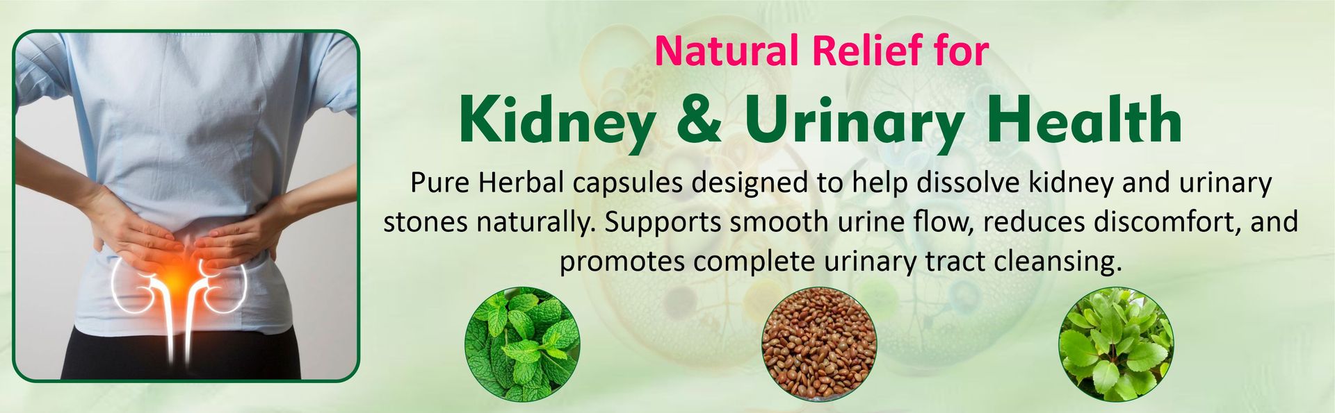 Ayurvedic Capsules | Herbal Support for Kidney & Urinary Tract Health | Natural Wellness Formula | 45 Capsules