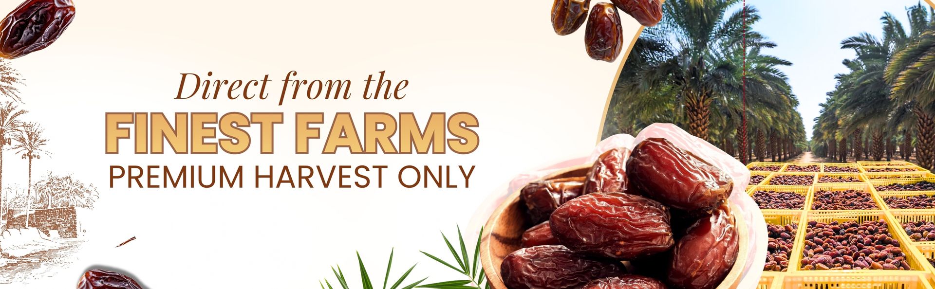 Premium Medjool Almond Filled Dates 1kg | Handpicked Soft & Juicy Medjool Dates Stuffed with Crunchy Roasted Almonds | 100% Natural Healthy Gourmet Snack | High-Fiber, Nutrient-Rich & Antioxidant Packed Superfood | Delicious Energy Booster for Kids & Adults | Perfect for Gifting, Festive Hampers, Baking & Everyday Snacking | No Added Sugar, Preservatives or Gluten