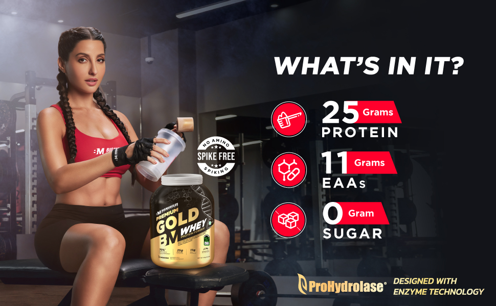 Bigmuscles Nutrition Premium Gold Whey [1Kg] | Informed Choice UK Certified | Isolate Whey Protein Blend | 25g Protein | 11g EAA | ProHydrolase Enzyme Technology [Rich Chocolate]
