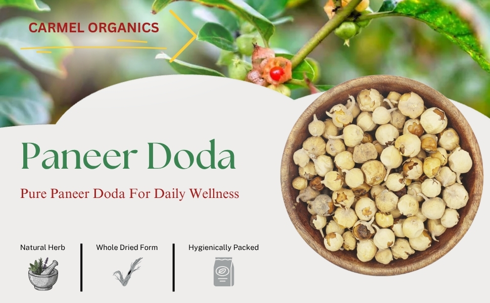 CARMEL ORGANICS Paneer Doda 250gm Whole