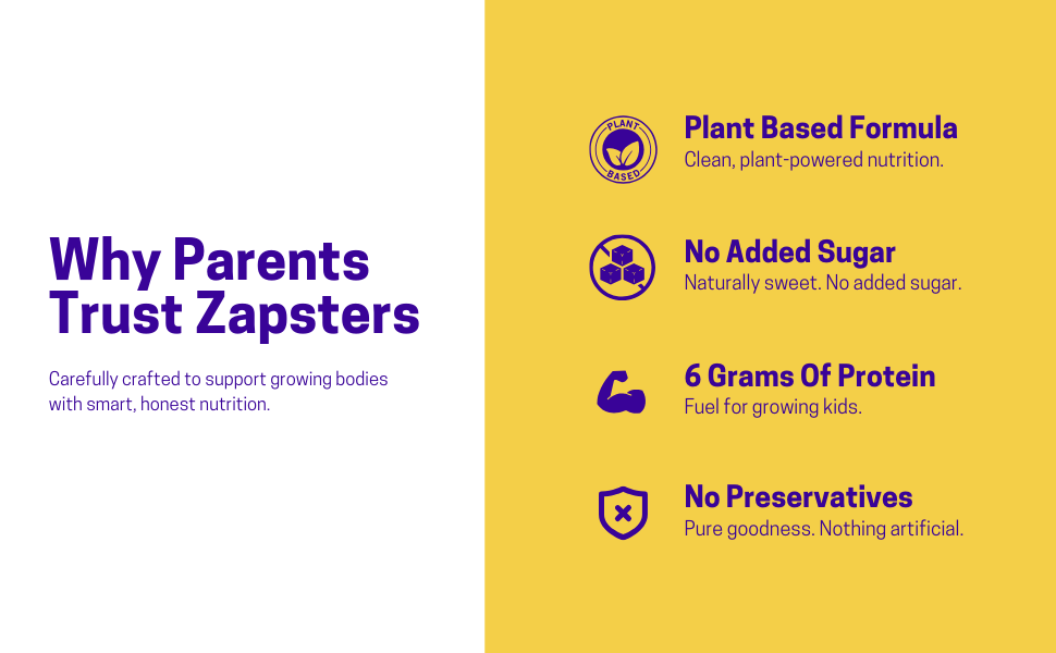 Zapsters Kids Energy Bar | Box of 6 (30g Each) Plant Based Snack | No Added Sugar | Gluten Free | No Palm Oil & Preservatives | Vegetarian (CHOCOCHIPS (PACK OF 6))