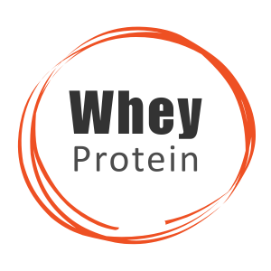 Snactivate India’s 1st Protein Wafer Bar - French Vanilla (Pack of 6, 40g Each) | Real Whey | 10g Protein & 10g Fibre | Zero Added Sugar | No Maida | Crunchy & Healthy Snack