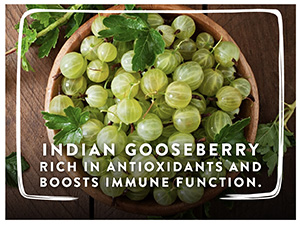 Swisse Immunity Booster+ with Vitamin C & Zinc - Contains Amla & Ginger, All Natural Immunity Booster - 30 Tablets