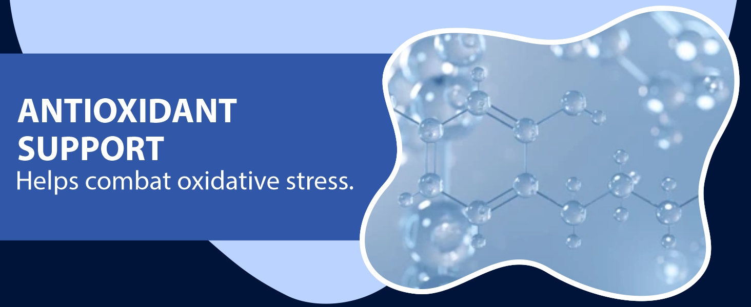 FITNESS VEDA Berberine HCL 1200mg - 120 Capsules High Potency Herbal Supplement for Blood Sugar & Insulin Support | Supports Metabolic & Cardiovascular Health | Non-GMO, Vegan-Friendly - 120 Capsules