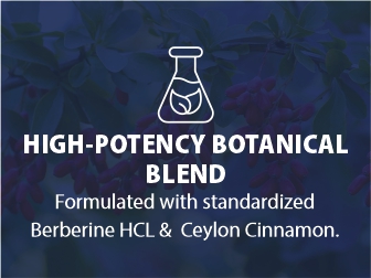 FITNESS VEDA Berberine HCL 1200mg - 120 Capsules High Potency Herbal Supplement for Blood Sugar & Insulin Support | Supports Metabolic & Cardiovascular Health | Non-GMO, Vegan-Friendly - 120 Capsules