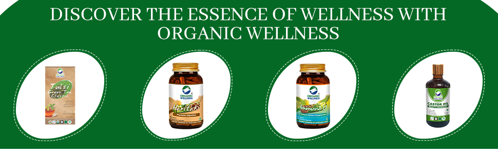 Organic Wellness Giloy Powder 100 Gram Pack Guduchi Churna - Helps to Boost Immunity