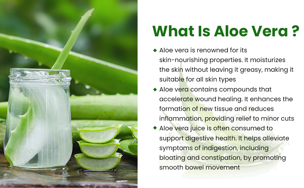 Baidyanath Ayurved Aloe Vera 60 Tablets | Nutritional Supplement For Healthy Skin And Liver | Eliminates Toxins And Boosts Immune System