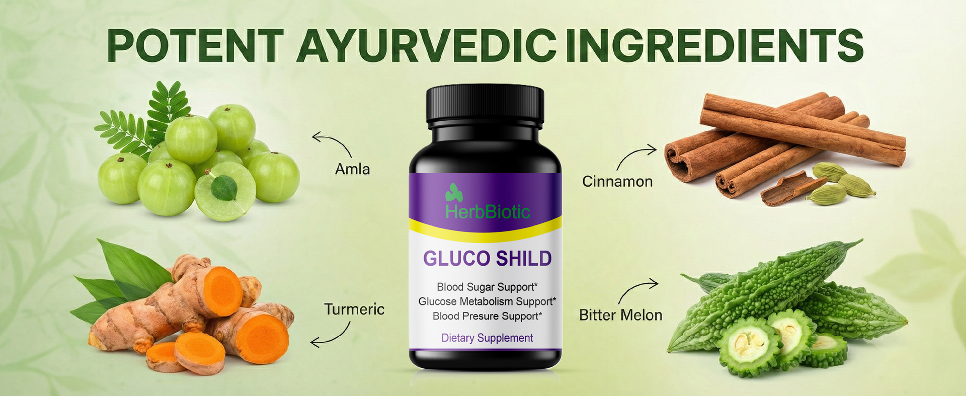 Gluco Shild Ayurvedic Blood Sugar Control Formula | Herbal Supplement for Glucose Regulation, Insulin Sensitivity & Heart Health | 60 Natural Capsules | gluco shield herb biotic