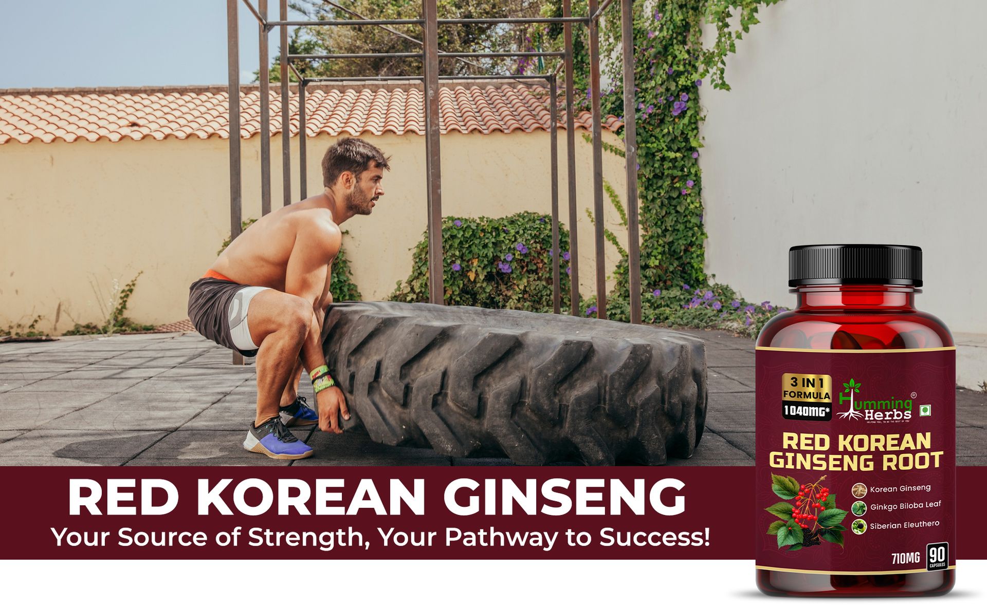 Humming Herbs Red Korean Ginseng with Ginkgo Biloba Leaf, Siberian Ginseng, Supports Energy, Concentration, Immune system and Improves Mental Clarity Bio-available Supplement