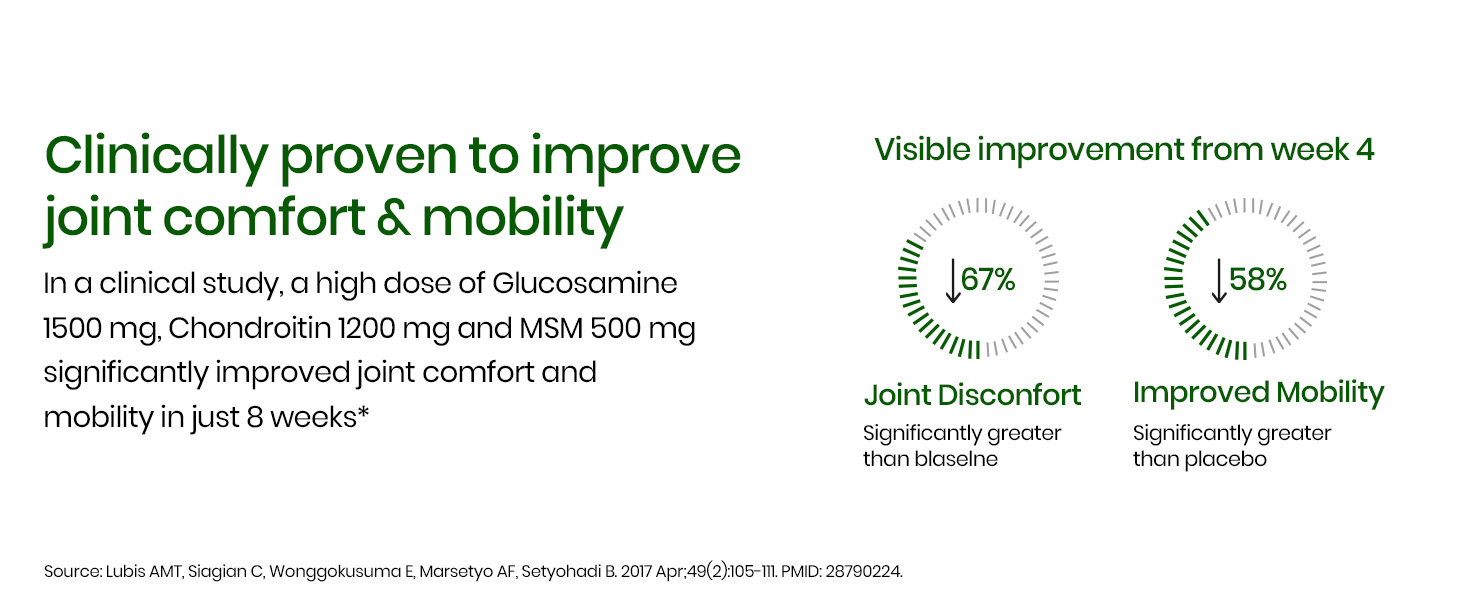 Vlado’s Himalayan Organics Glucosamine Chondroitin MSM Tablets | Cartilage & Joint Support Supplement | Glucosamine for Joint Relieves Pain and Stiffness I Pure Veg Formula- 120 Vegetarian Tablet