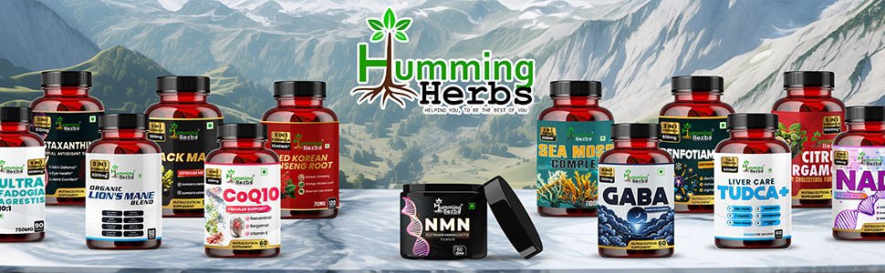 Humming Herbs Milk Thistle supplement 1140mg Liver Support Formula with NAC, Curcumin, Dandelion and Black Pepper - 90 Veg Capsules, Bioavailable Detox Supplement