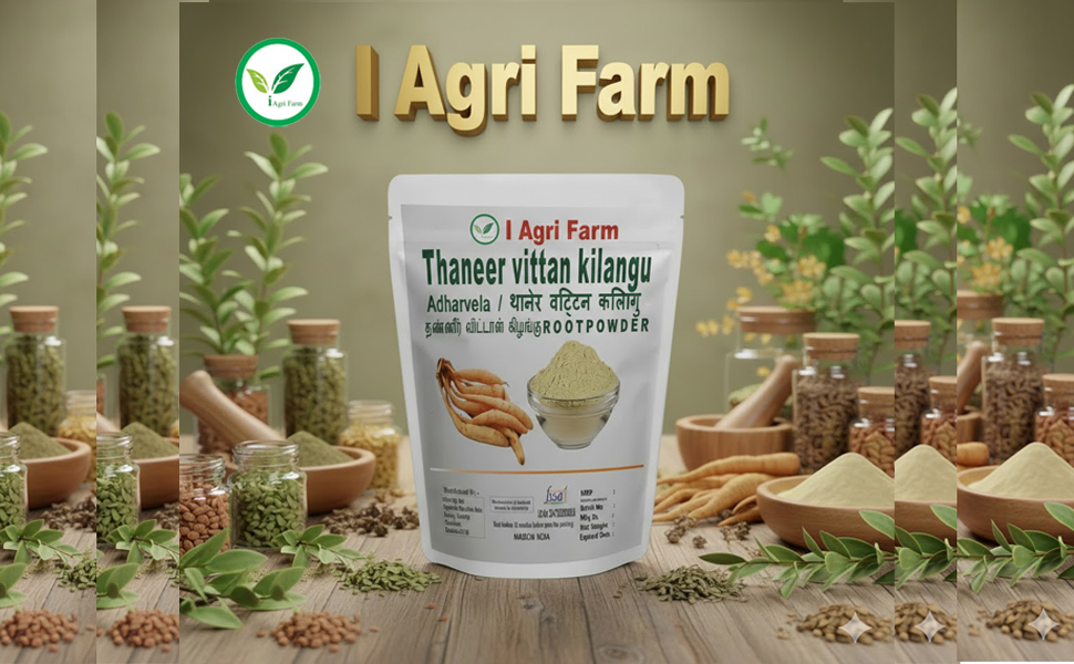 Iagrifarm Thaneer vittan kilangu Powder - 250 gram - Shatavari/Abiruvu/Satamuli Powder