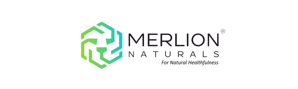Merlion Naturals Ginger Tablets, Zingiber officinale, 500mg (120 Tablets)