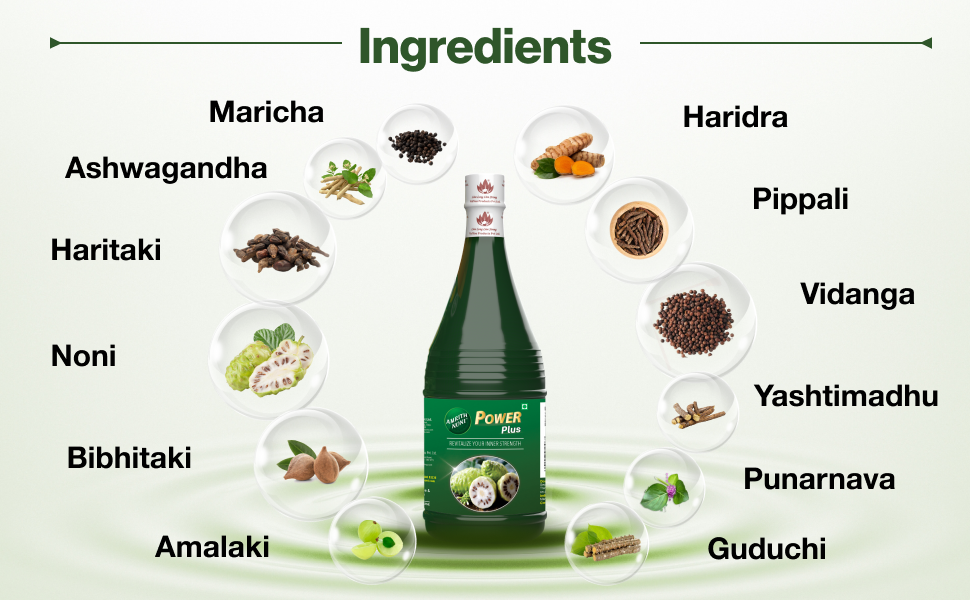 Amrith Noni Power Plus Juice | Ayurvedic Herbal Wellness Drink | Traditional Herbal Blend for Daily Routine | Natural Botanical Beverage | Plant-Based Wellness Tonic (500ml) (Pack of 1)