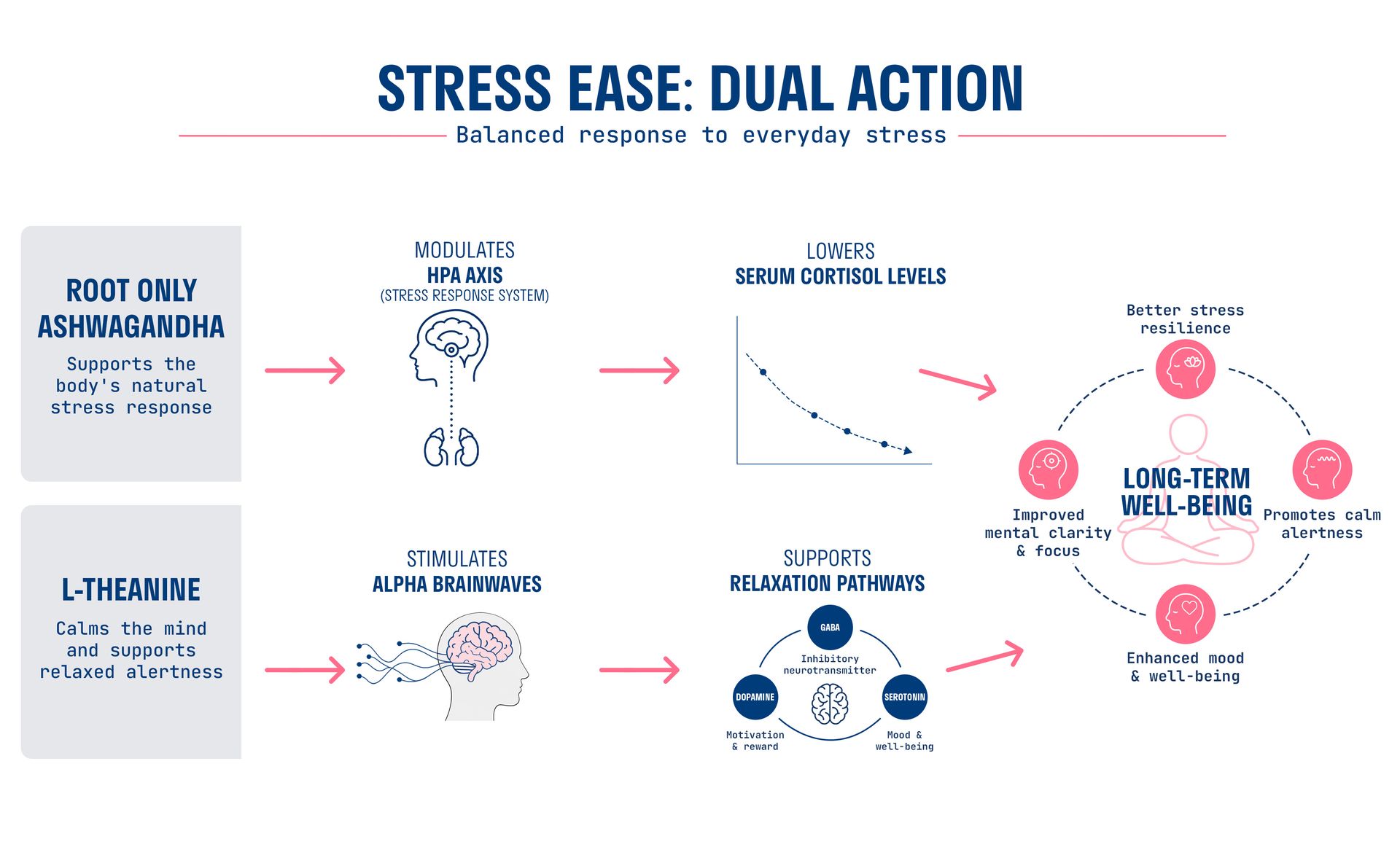Nature & Thought Stress Ease Advance Formula | Clinically Validated Ingredients | Extended Release Ashwagandha ASHWANOVA™ & Alphawave™ L-Theanine | Stress Relief, Relaxation & Mental Clarity | 30N Veg Capsules