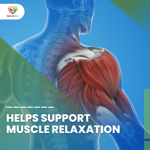 Magnesium Glycinate Chelated - High Absorption - Supports Muscle Relaxation, Bone Health & Sleep - 90 Capsules (1)