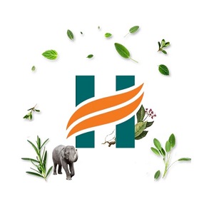 Himalaya Wellness Pure Herbs Karela Metabolic Wellness - 60 Tablets