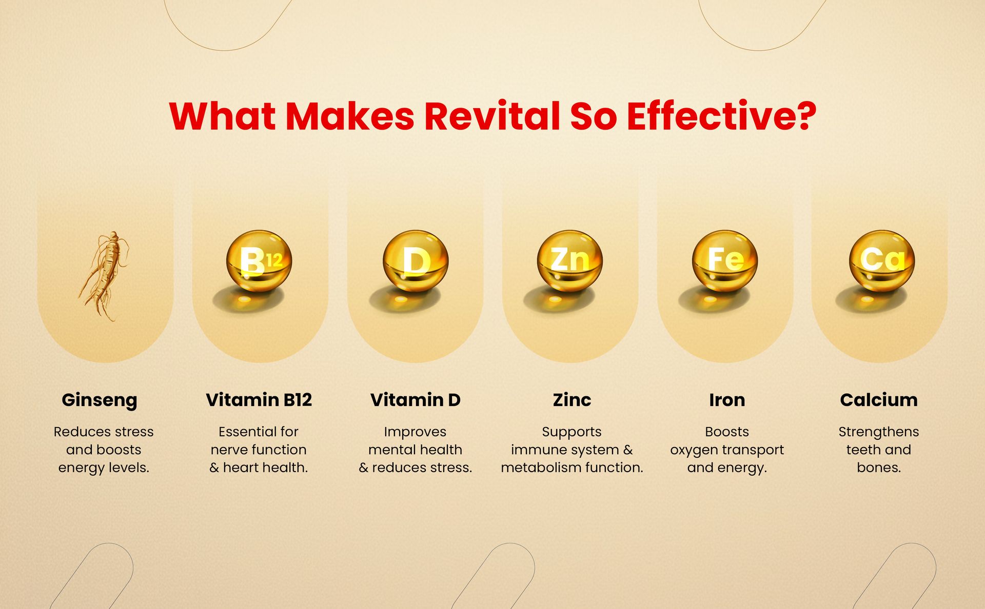 Revital H Multivitamin For Men (60 Capsules) With Natural Ginseng, Zinc, 10 Vitamins & 8 Minerals For Daily Energy, Stamina & Immunity - Pack of 2
