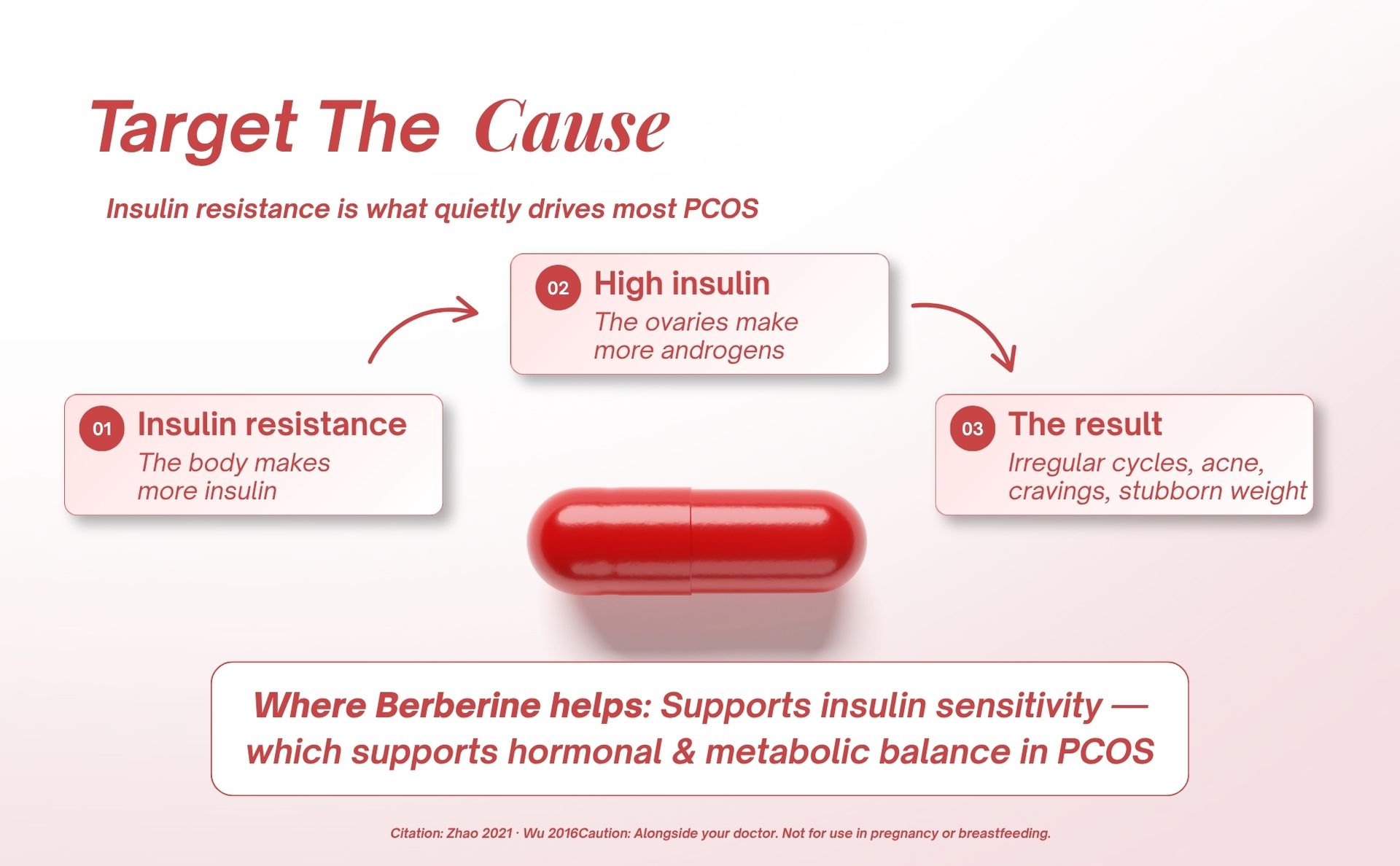 Berberine HCL 500mg | 4-in-1 with Milk Thistle, Chromium & Black Pepper | Supports Healthy Blood Sugar, Insulin Sensitivity & PCOS Metabolism | For Women (Pack of 1)