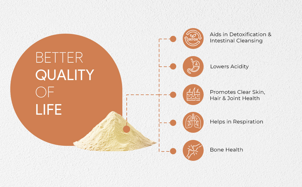 Autoimmunity Care Vitamin C Care – Sodium Ascorbate Vitamin:C Powder 1000 mg | Immunity Booster, Antioxidant & Anti-Aging Support | Skin, Heart, Brain & Cell Health | Vitamin-C Supplements | 150 Servings