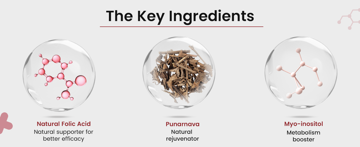 Neuherbs Plant-Based Vitamin B12 Tablets 60 Count | True VItamin B12 with Spirulina, Myo-Inositol & Punarnava | Supports Energy, Brain, Nerve Health & Metabolism for Men & Women