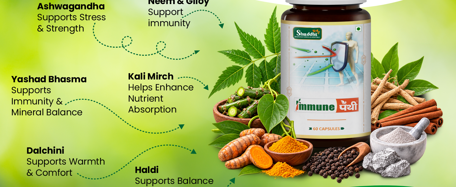 Shuddhi Immune Pathy Capsules | Ayurvedic For Immune System | Naturally Blended With Neem, Haldi, And Dalchini | Natural Multivitamin For Wellness, 60 Capsule