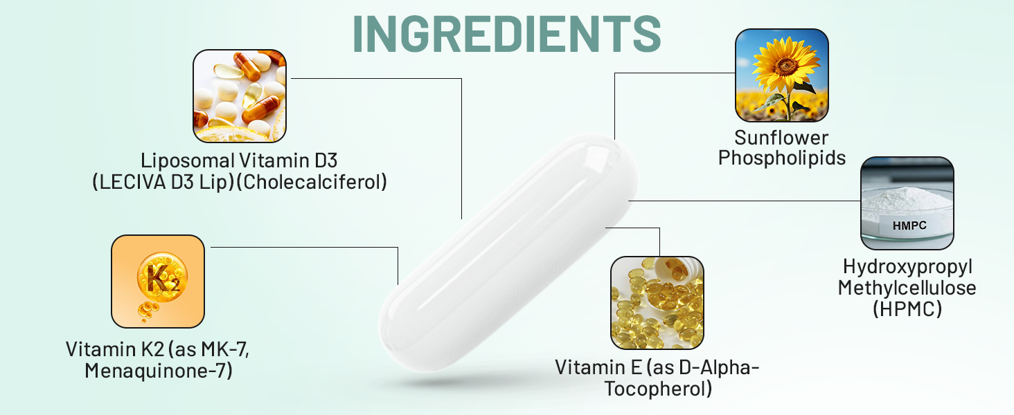 Vitamin D3 K2 Supplement | Liposomal Vitamin D3 600 IU with K2 MK-7 50mcg | Bone, Muscle and Heart Support Phospholipid Bound Capsules for Adults 50+ - 30 Capsules