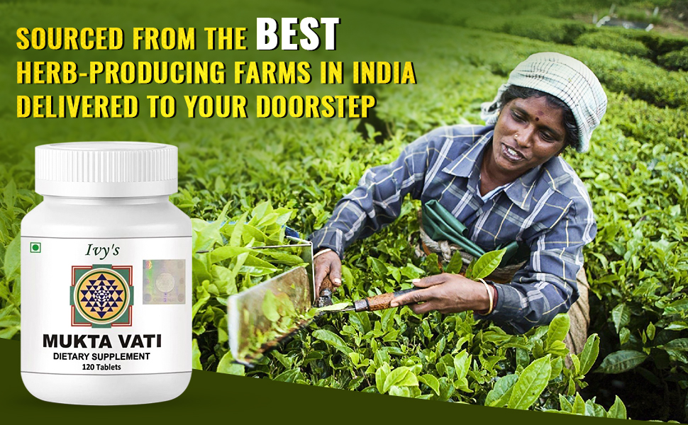 Ivy's Mukta Vati 120 Tablets per Bottle | Blood Pressure Support | Blood Pressure Support | Hypertension Supplement | Blood Circulation Supplement