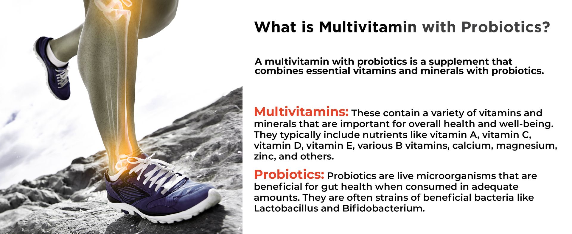 Health Veda Organics Multivitamin with Probiotics | 120 Tablets | 45+ Ingredients for Daily Energy, Immunity & Gut Health Support | For Men & Women