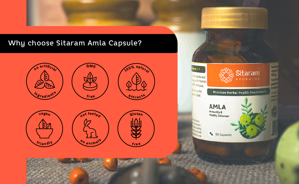 Sitaram Ayurveda Amla Capsule | Ayurvedic Vitamin C Rich Herbal Supplement | Supports Immunity, Antioxidant Activity, Heart, Gut, Hair & Skin Health | Vegan | 60 Nos