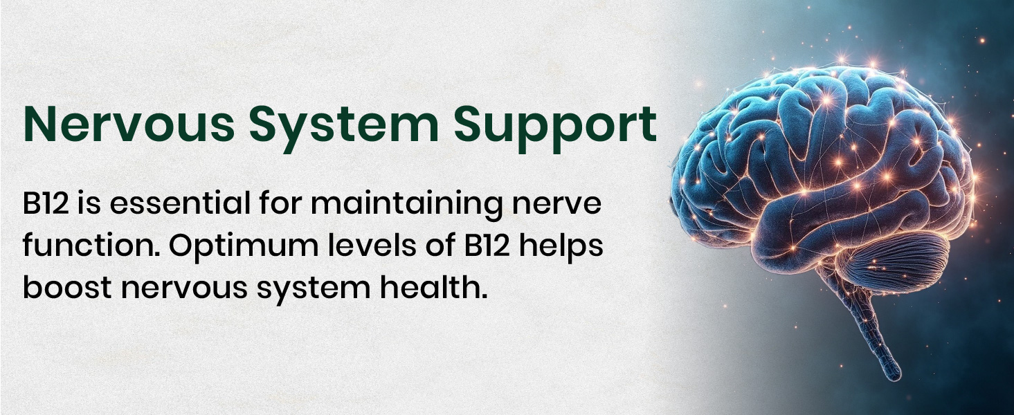 Vlado's Himalayan Organics Methylcobalamin Vitamin B12 1500mcg Supplement for Men & Women -10 Tablets (10 days Pack only)