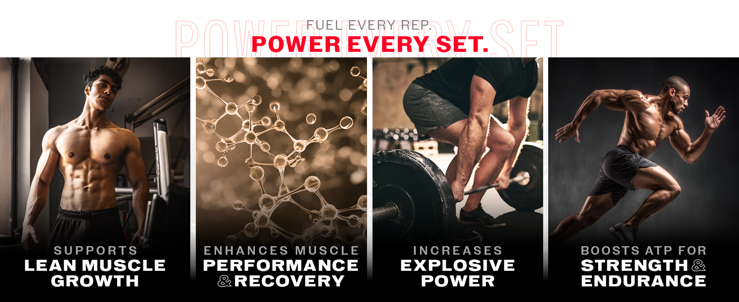 MuscleBlaze Micronised Creatine Monohydrate CreAMP Powder, 400g
