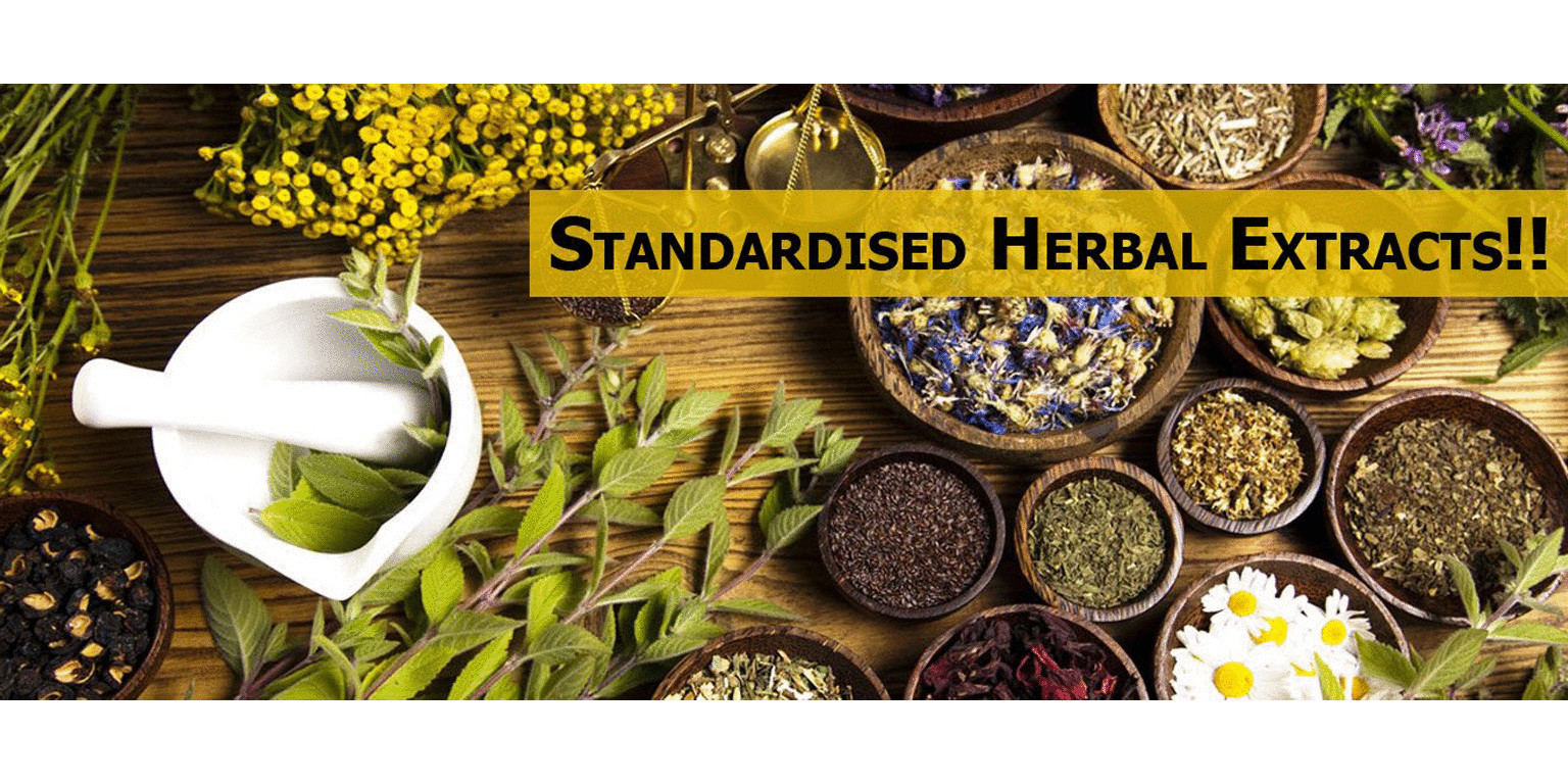 One Tree by Herbal Homes Methi/Fenugreek 500mg Extract - 60 Vegan Capsule