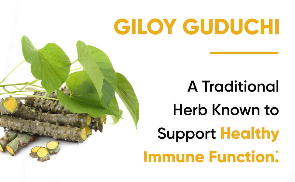 Way2Herbal Giloy Tablets (700 Count Pack of 1)