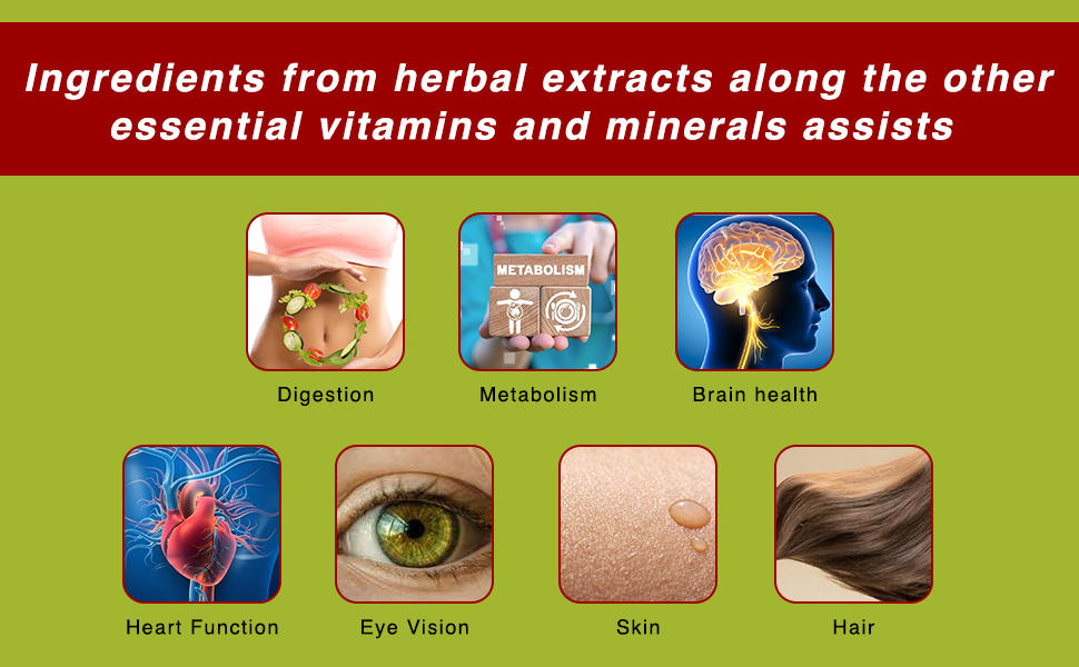 ENGYUP EngyVit Daily Multivitamin & Multimineral (60 Veg Tablets) | Blends of 32 Vital Ingredients & Herbal Extracts