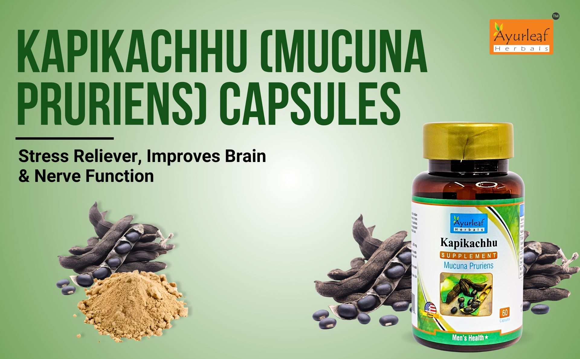 Ayurleaf Herbals Kapikachhu (Mucuna Pruriens) Capsules | Stress Reliever, Improves Brain & Nerve Function | 100% Natural Herb (Pack of 2, 120 Capsules)