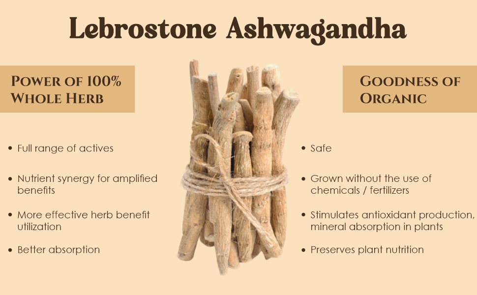 Ashwagandha 30 Capsule | Pure & Natural Organic Capsules | Stress Relief & Energy Booster | Immunity, Stamina & Strength Support | Herbal Supplement for Daily Wellness