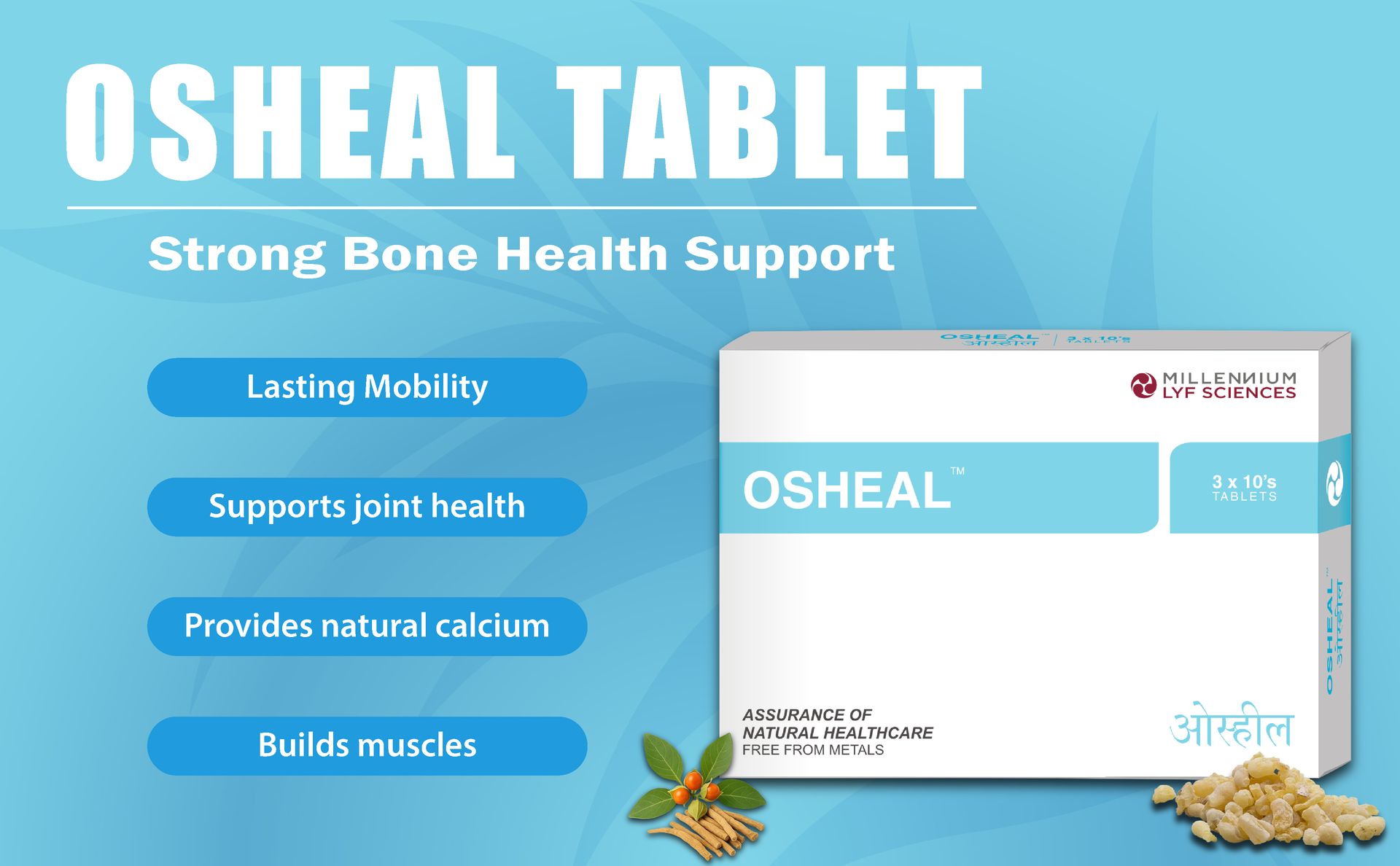 OSHEAL TABLETS | Vegetarian Alternative to Calcium | 60 Tablets