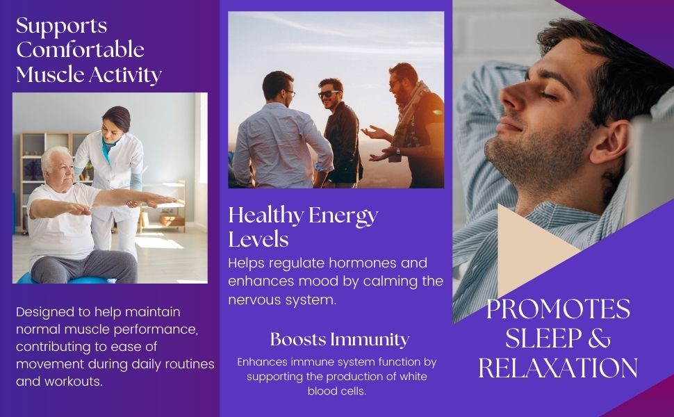 Biotrex Nutraceuticals Trio Magnesium Complex Enriched With Magnesium L- Threonate, Aquamin Citrate & Magnesium Glycinate, Highly Bioavailable Forms of Magnesium, Supports Healthy Nerve & Brain Health, Supports Healthy Sleep - 60 Veg Capsules