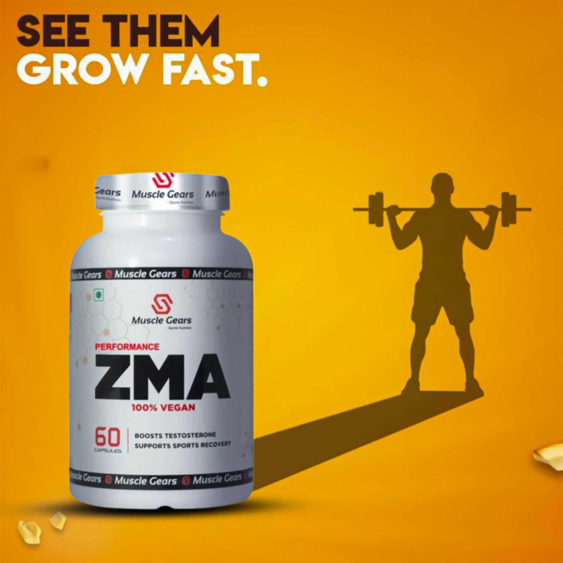 Muscle Gears ZMA Capsules | Zinc, Magnesium Aspartate & Vitamin B6 | Muscle Recovery, Strength & Endurance | Sleep Quality Support | Vegan | For Men & Women | 60 Capsules