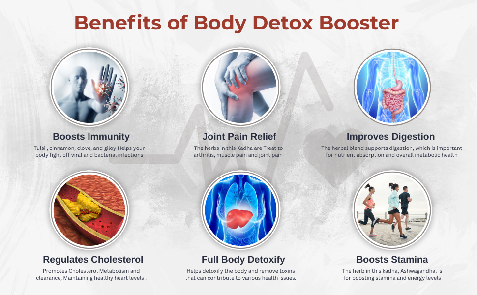 Body Detox Drink Booster |Helps Improve Gut Health & Digestion| Detoxifies the Body| Boost Stamina | Boost Immunity – 250 gm Pack-1