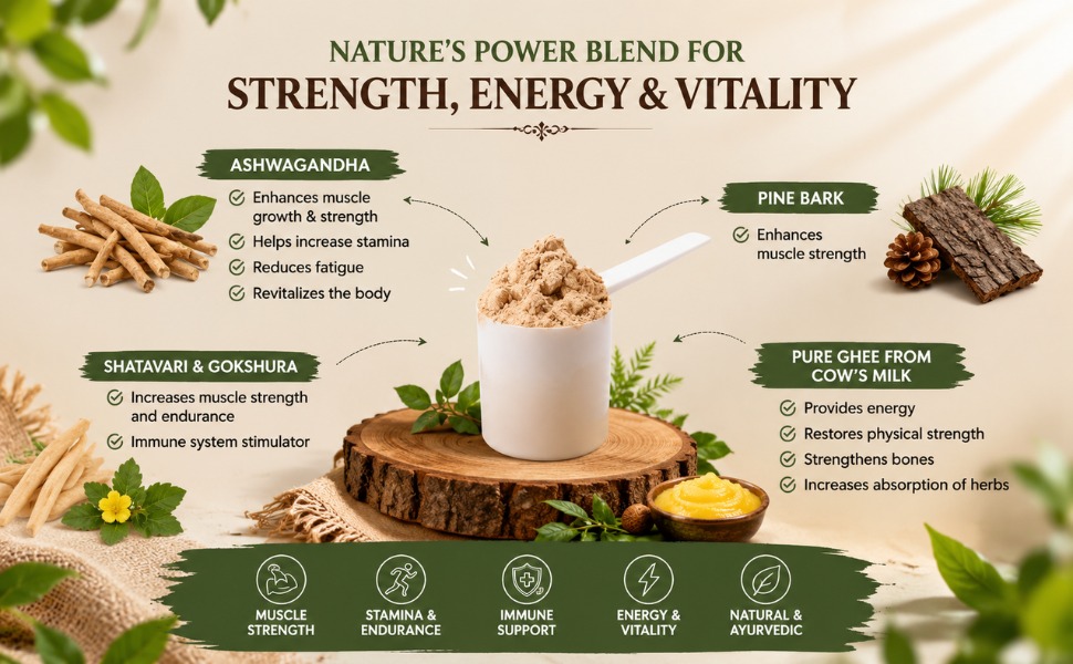 Gainer Nutritional Powder for Daily Calorie and Protein Intake Delicious Shake Mix with Fruit and Seed Ingredients Convenient Supplement Powder 500 gm