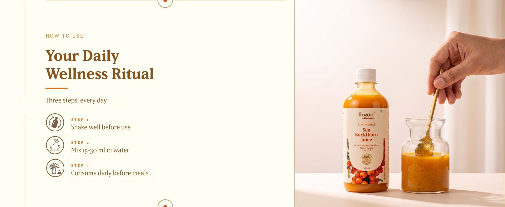 Baidyanath Trusoul Sea Buckthorn Juice 500ml | Himalayan Ladakh Berry Fruit Pulp Concentrate | Omega 3 6 7 9 | Supports Immunity, Skin Glow & Gut Health | No Added Sugar | GMP Certified